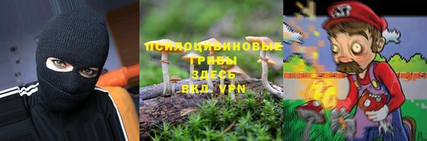 индика Алексин
