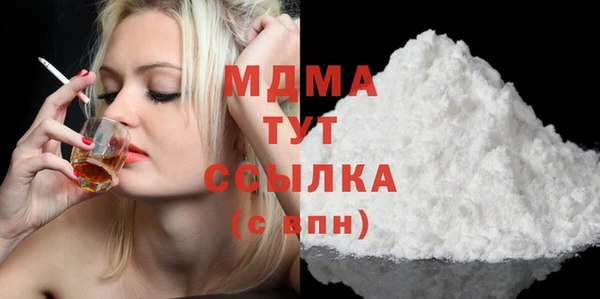 индика Алексин