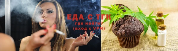 индика Алексин
