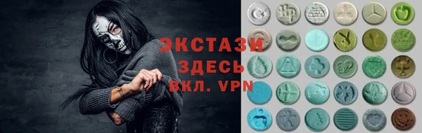 индика Алексин
