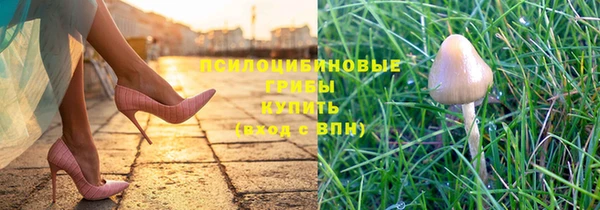 индика Алексин