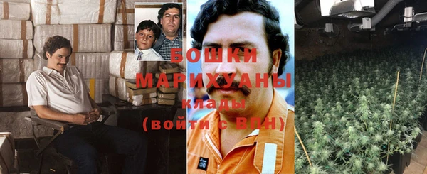 твердый Алзамай
