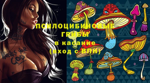 индика Алексин