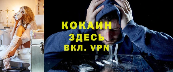 индика Алексин